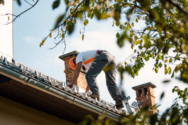 Roof Installation Near Me in Hemlock, MI