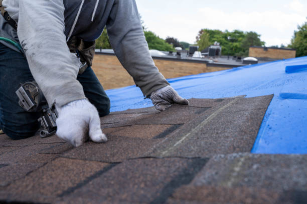 Best Shingle Roofing Installation  in Hemlock, MI