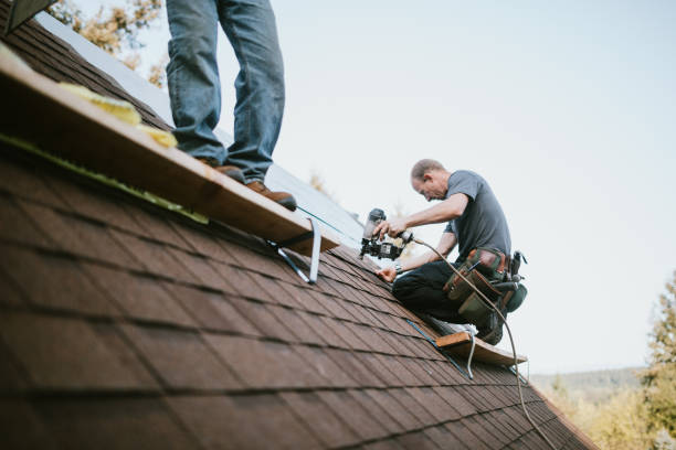 Best Storm Damage Roof Repair  in Hemlock, MI