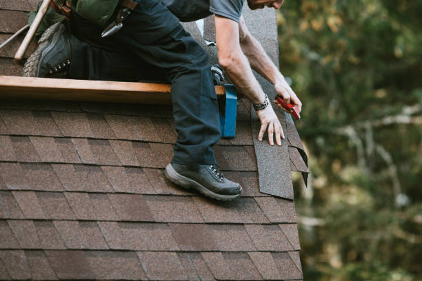 Best Roofing Contractor Near Me  in Hemlock, MI